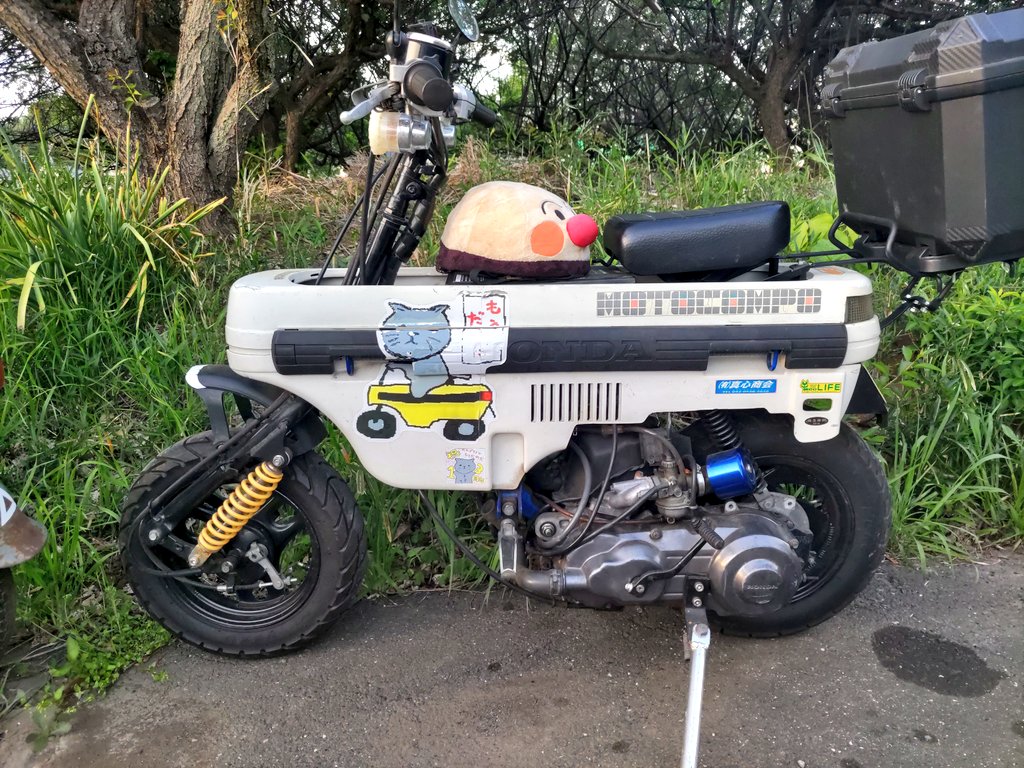 真心商会（鹿） tweet media