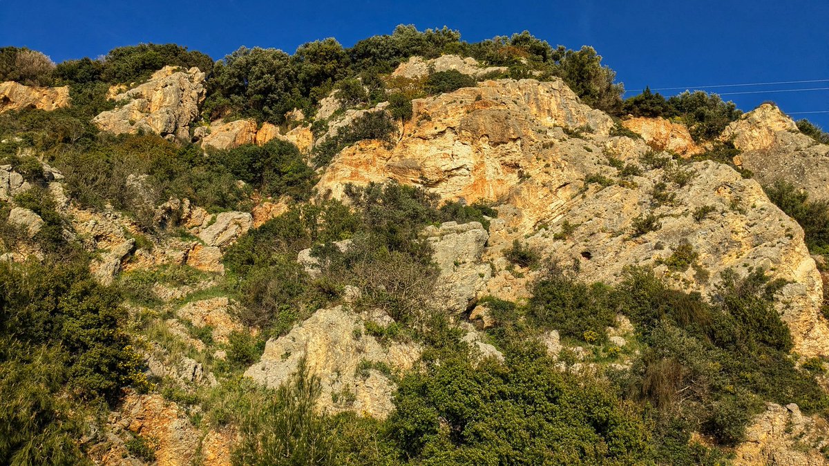 Michael Eugene tweet media