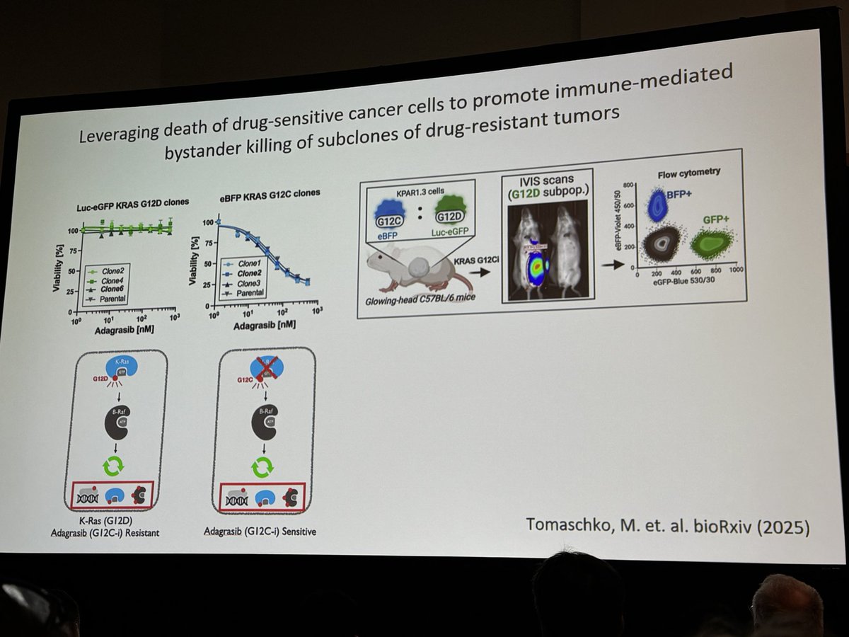 Ingo Hartung tweet media