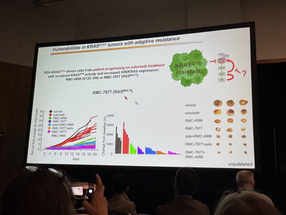 Ingo Hartung tweet media