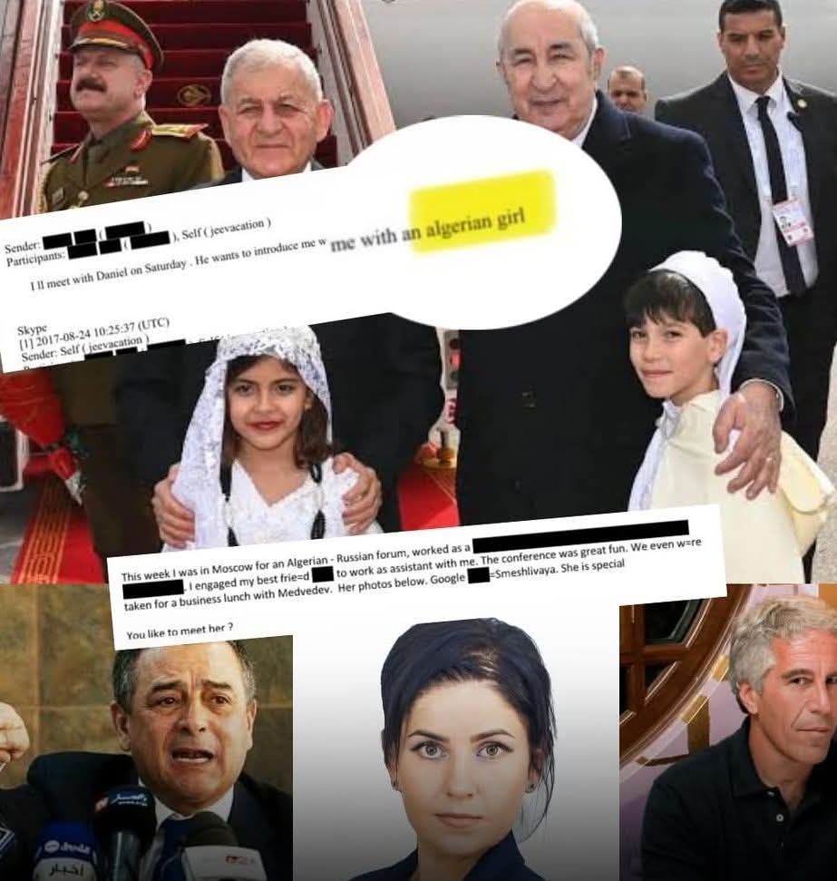 AlaeGhani's tweet photo. @_____Amel____ @LePoint Good job https://t.co/tdB9dPHpvX