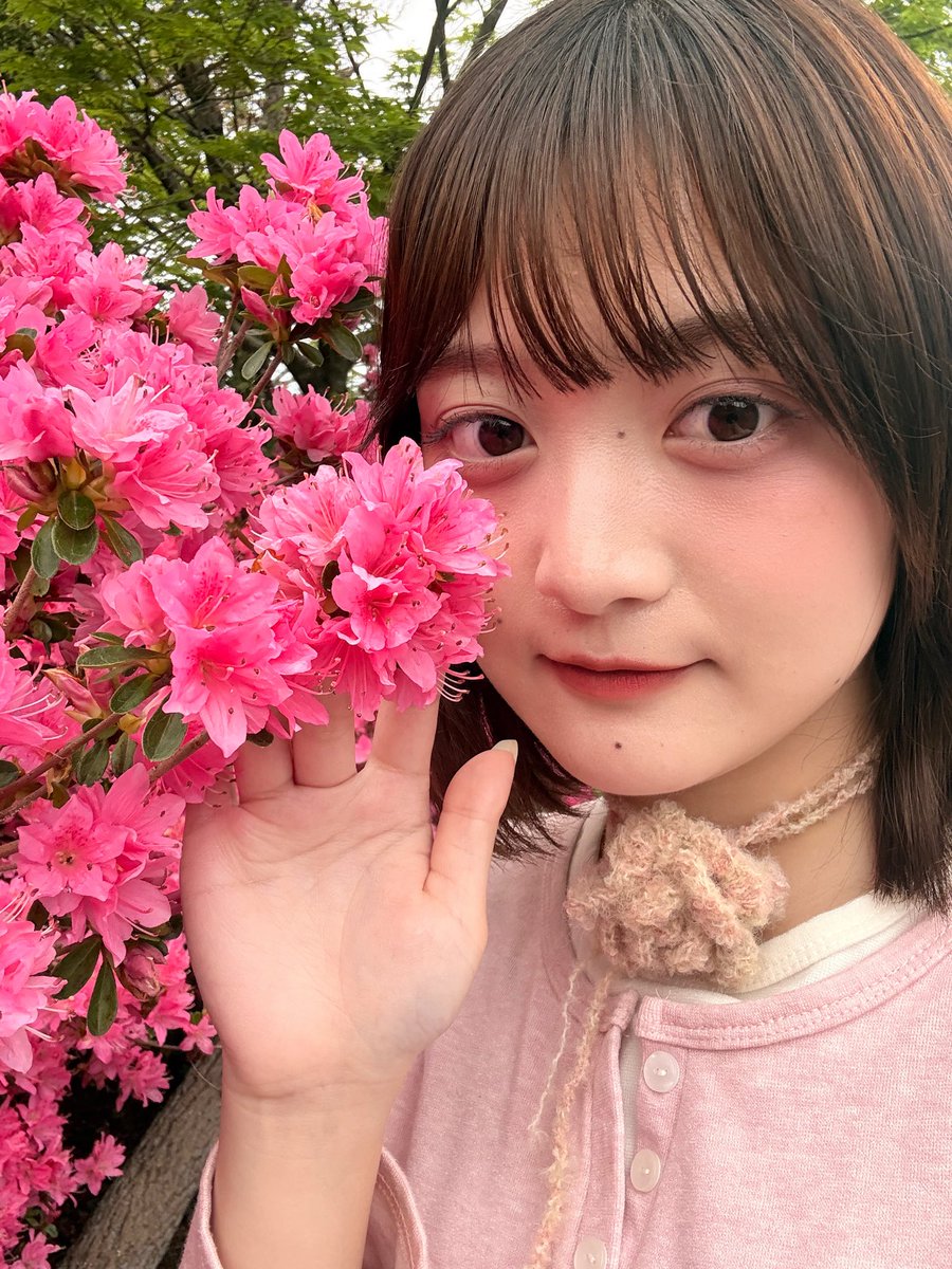 もん🐰🩵 tweet media