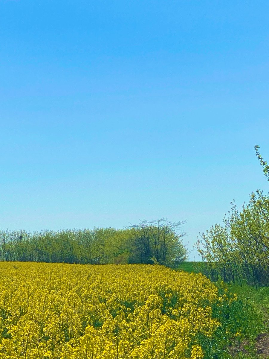 Se grăbește! Știe ceva natura…