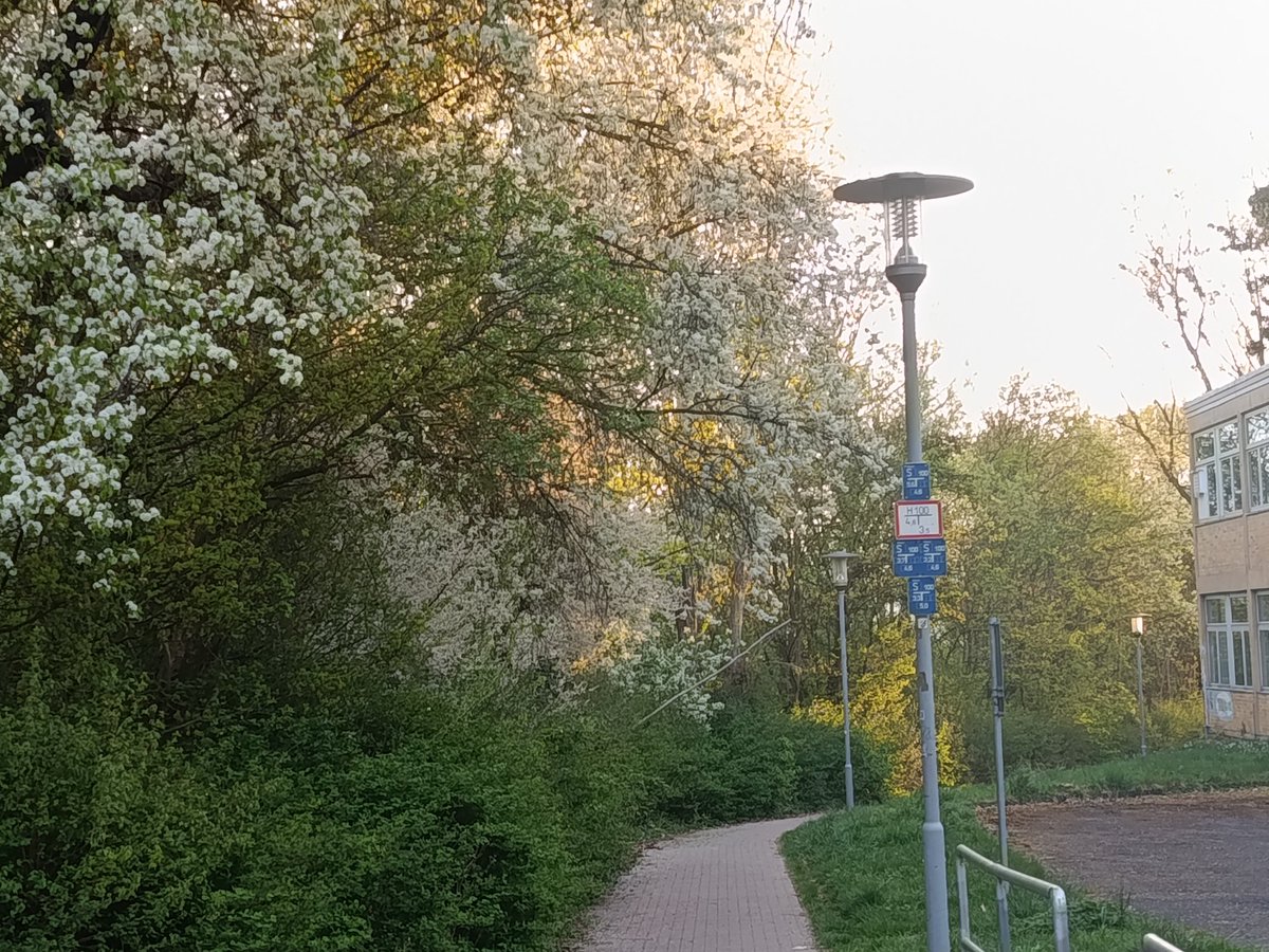 Pizza_Time14's tweet image. HI!

Oh spring, it's such an incredible season! It's probably my favorite
#Spring #Photo #Flowers #CherryBlossom