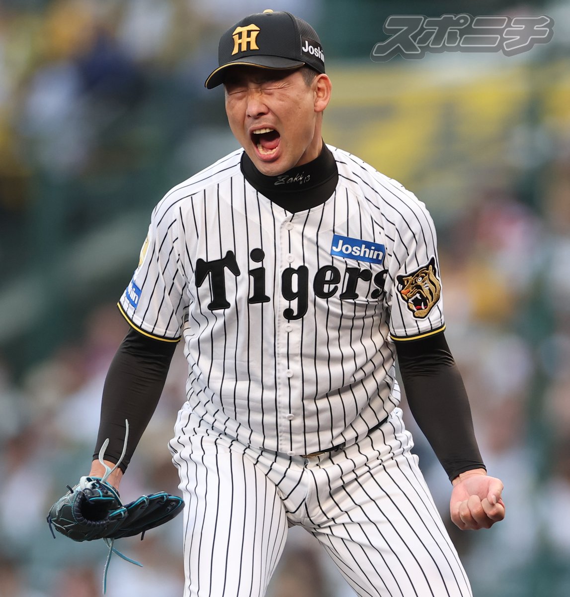 スポニチTIGERSフォト tweet media