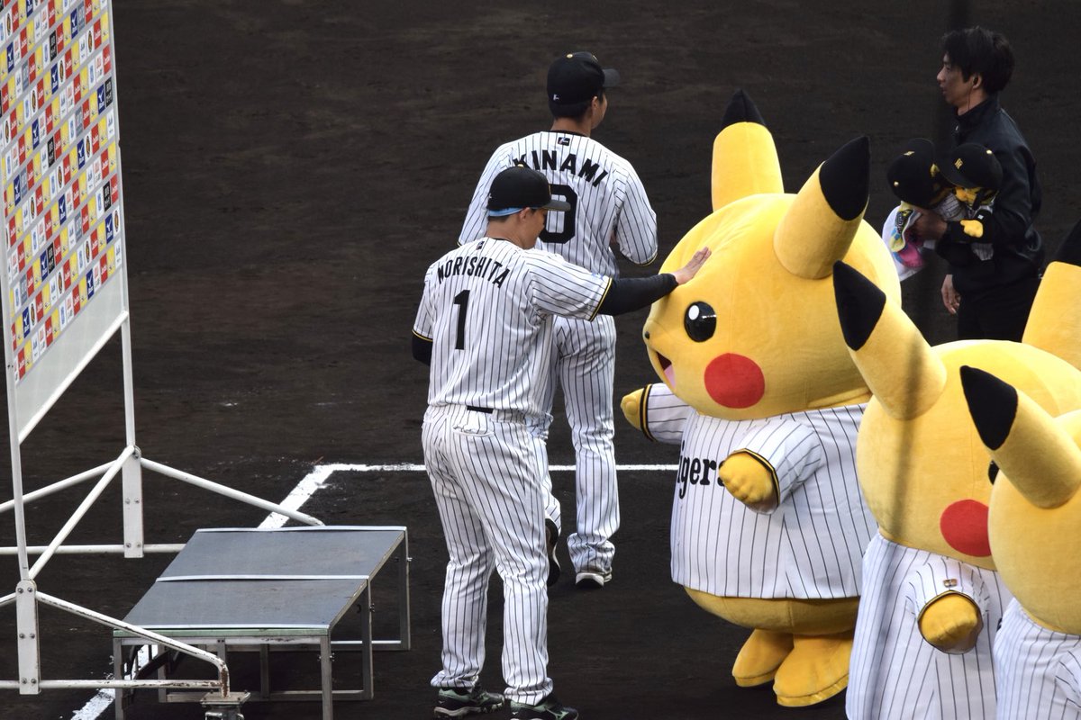 きのこ🐯 tweet media