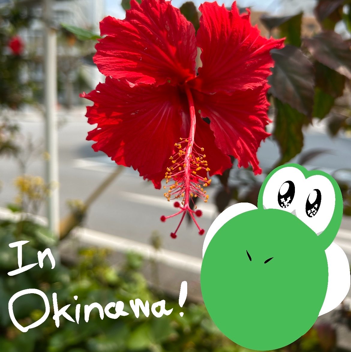 ナリオ tweet media