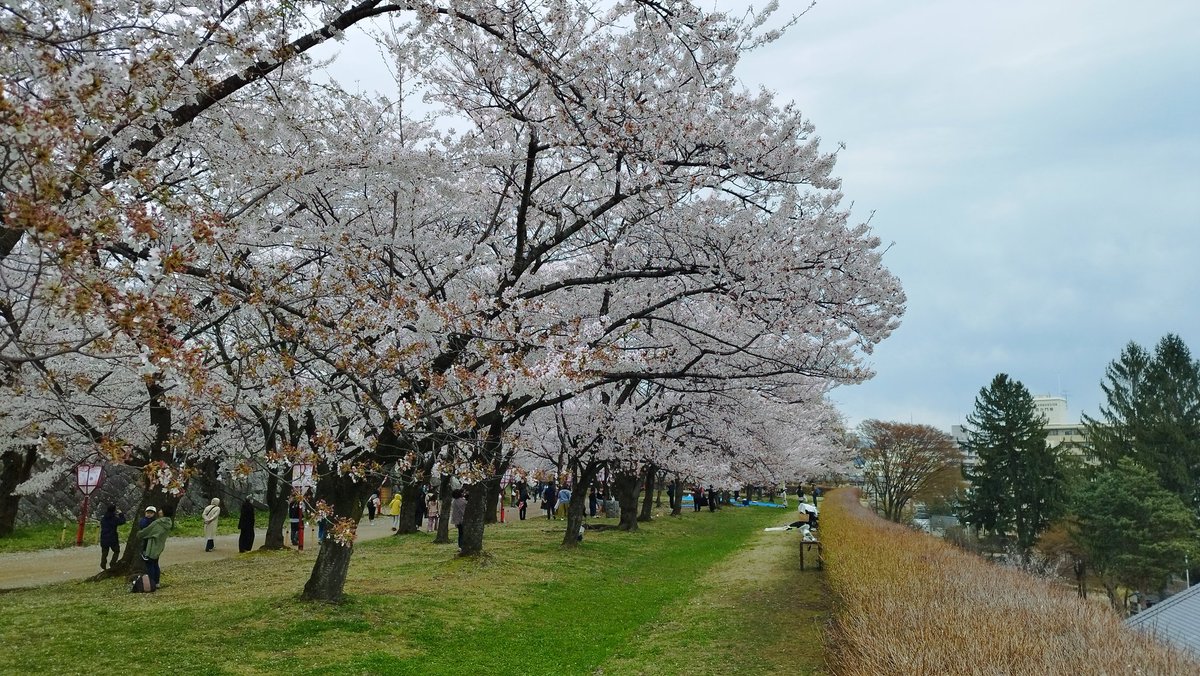 Rebic Channel tweet media