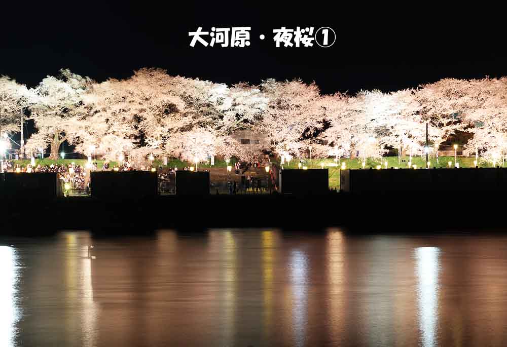 ジョエ tweet media