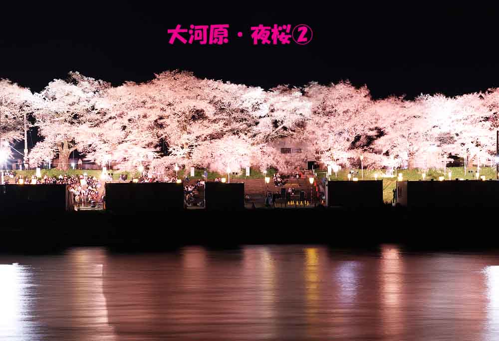 ジョエ tweet media