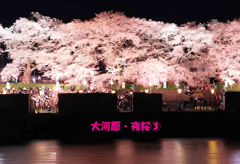 ジョエ tweet media