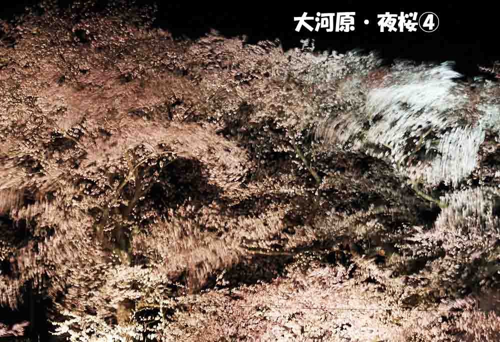 ジョエ tweet media