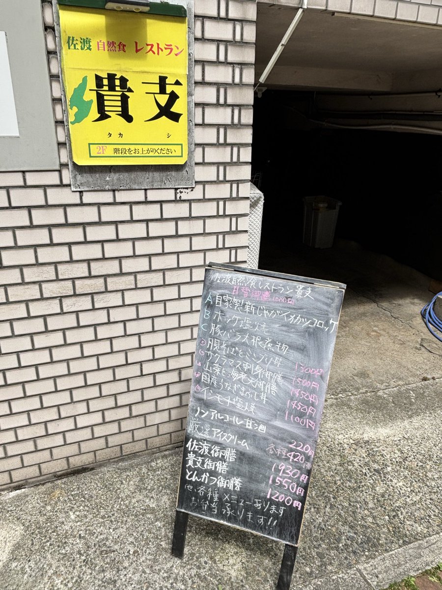 kokona2 tweet media