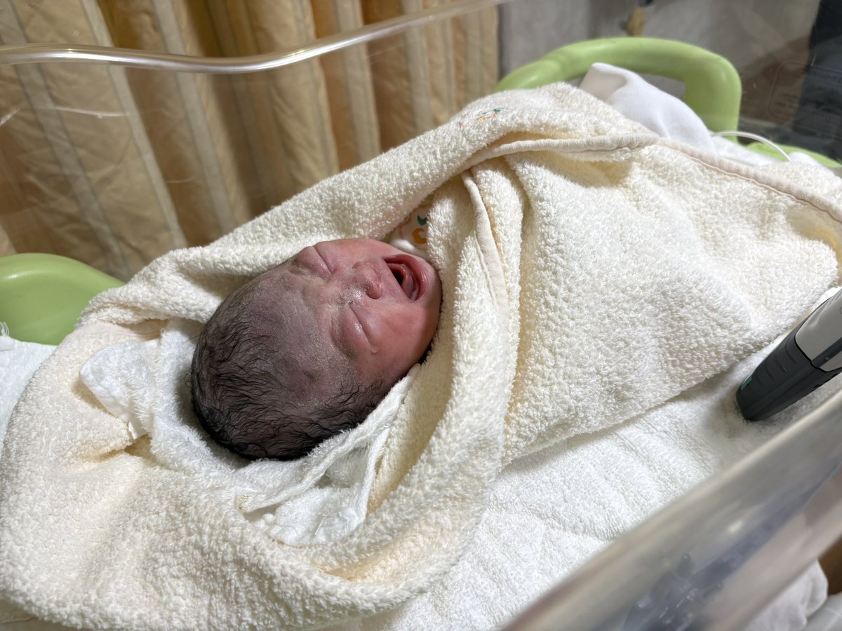 ちゃんみー1y🦖＋0Ⓜ︎🎀 tweet media