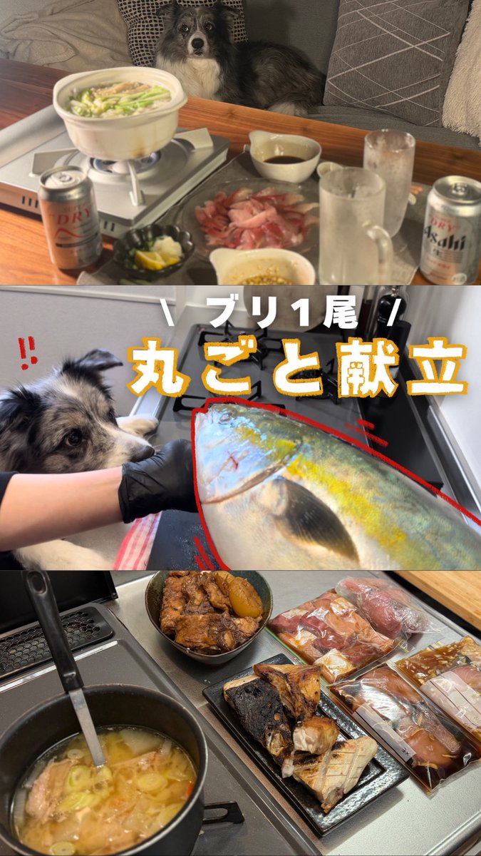 ぴ様へ♥11/7 ぴあちゃん (@piachan48) / Posts / X