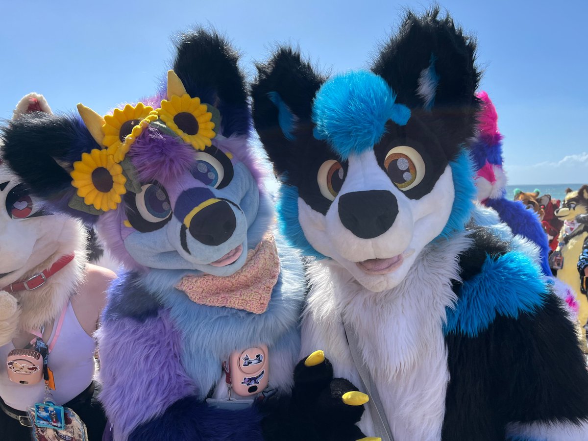 hthom32's tweet photo. Furdu 2026 photos part 55

Ft: @_ShadowRK9 , @coltofox and @SaltyDerg 
 
#Furdu #furdu2026 #furdu26 https://t.co/h6pD356u8O