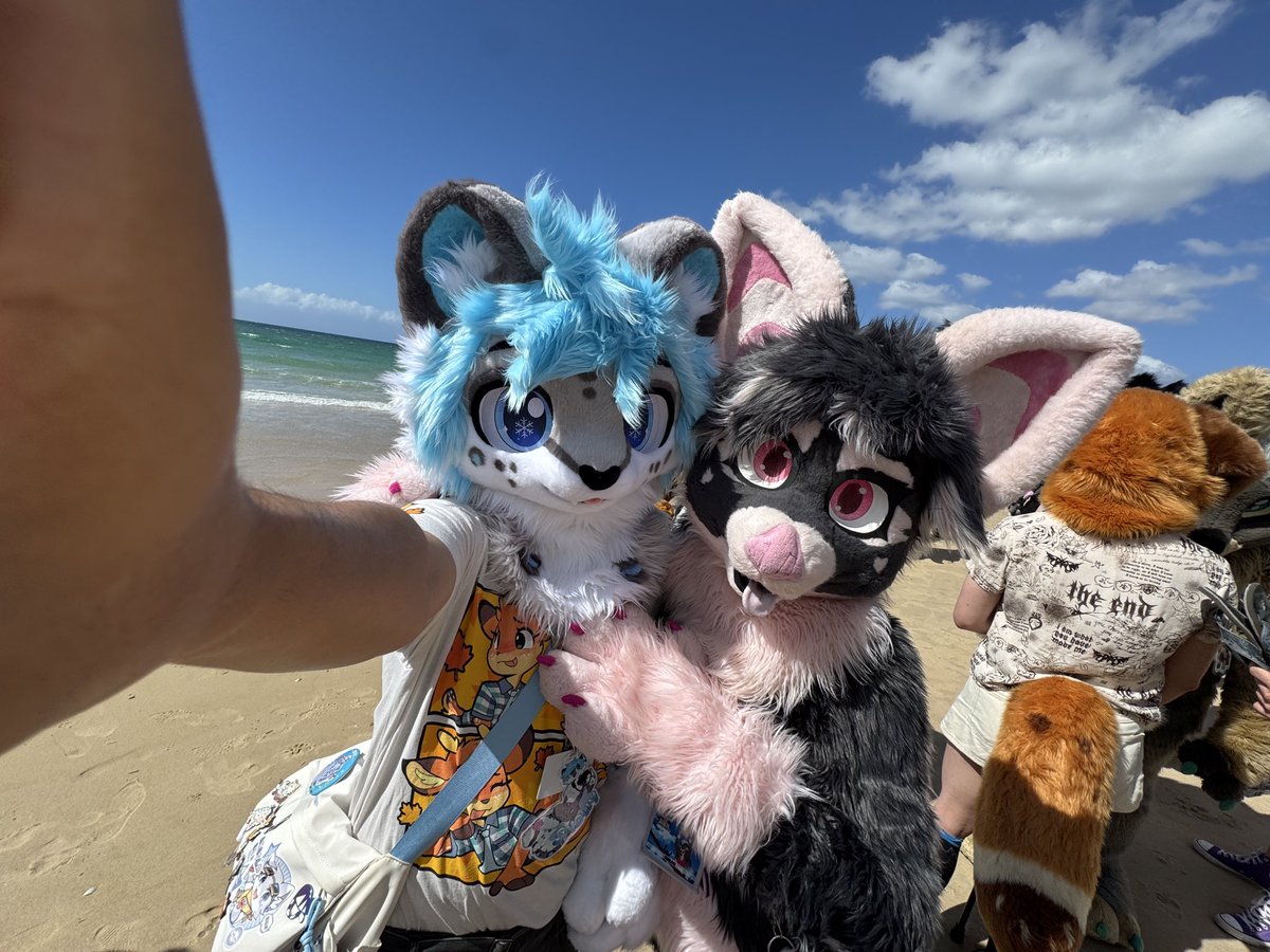 Snowy ❄️ 🔜furdu tweet media