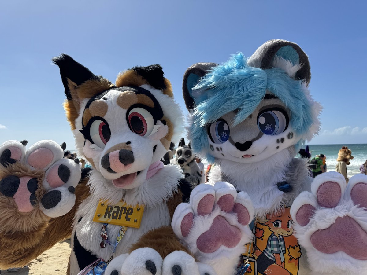 Snowy ❄️ 🔜furdu tweet media