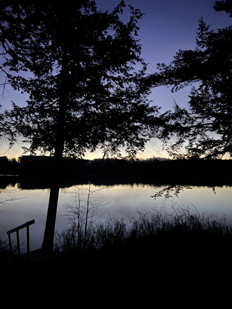 Dana Full On Maine tweet media