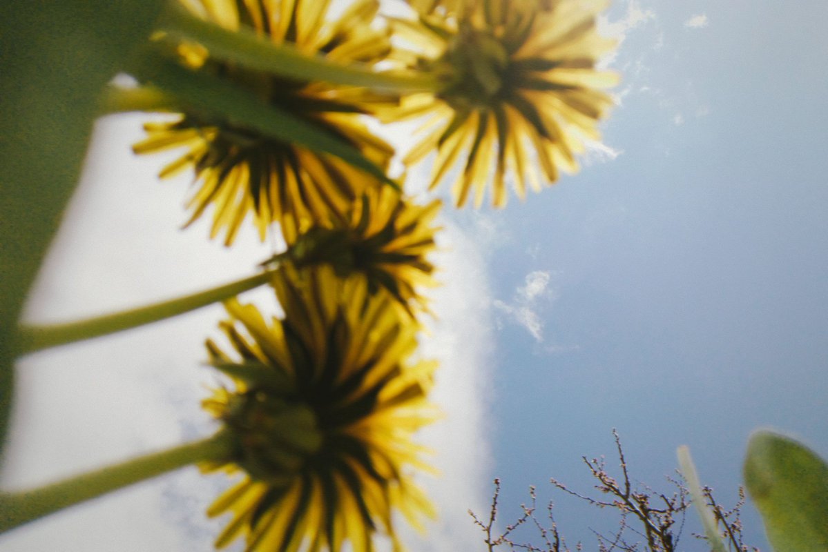 Boringphotosnot's tweet image. Captured moments of spring #photography #spring #photo