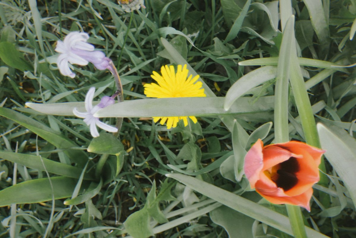 Boringphotosnot's tweet image. Captured moments of spring #photography #spring #photo