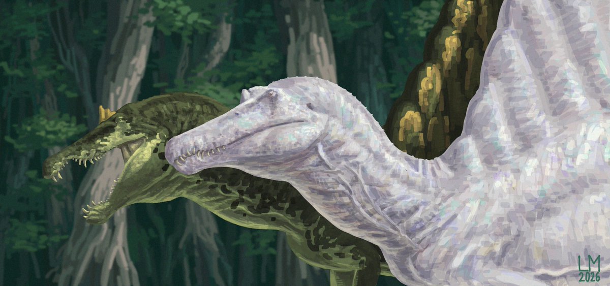 Lmacrothorax's tweet image. Maybe you weren't meant to be alone?

#spinosaurus #albino #dinosaur #paleoart