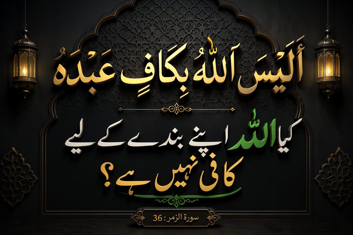 MindRoasterMir tweet media