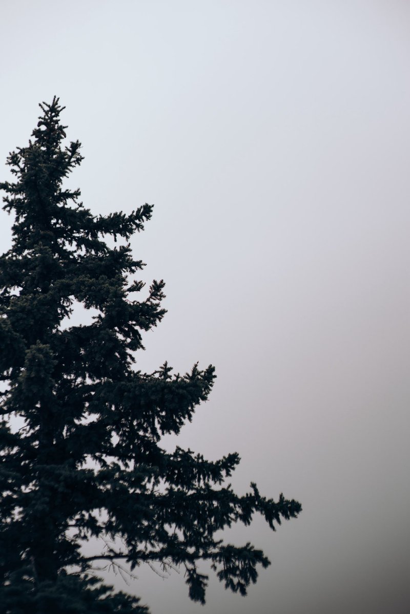 Не дозволяю собі впасти у відчай. Ігор точно цього не хотів би. В пам’ять про нього я продовжу робити все що в моїх силах задля допомоги війську.

Збираємо на пікап для друзів саперів на Покровському напрямку:

🫙 send.monobank.ua/jar/97hqDWUKNL
PP: saint666mary@gmail.com