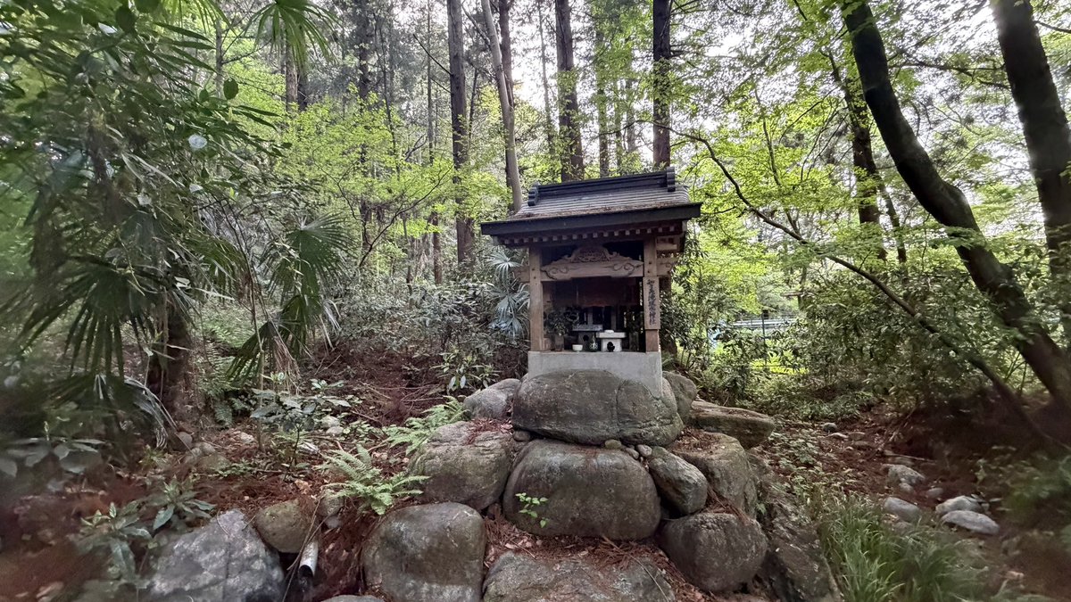 今週もおつｶﾚ- tweet media