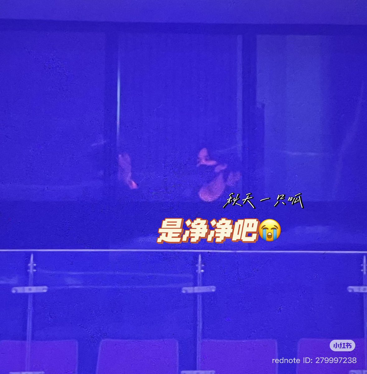 하니행뵹 tweet media