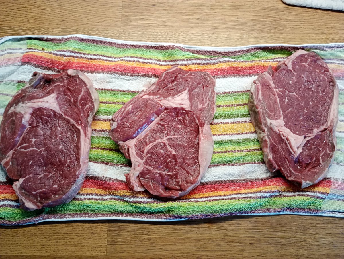 Katarina Krusidull II 🍄 tweet media