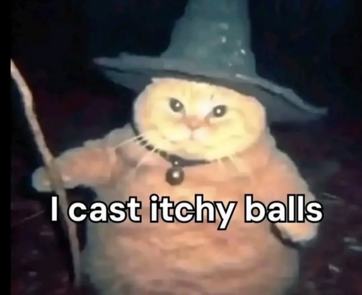 pumpkin🎃 tweet media