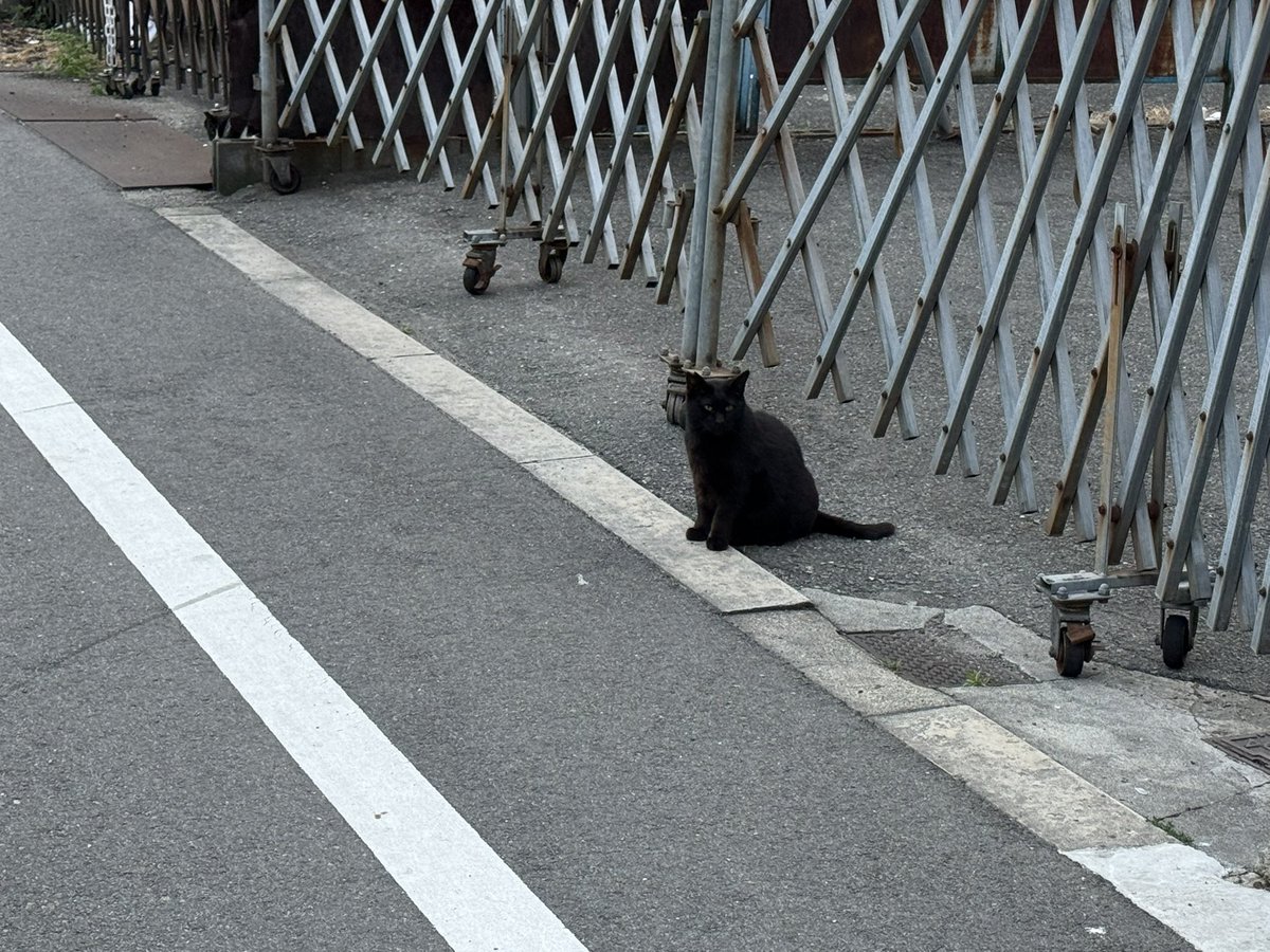 せいげつ tweet media