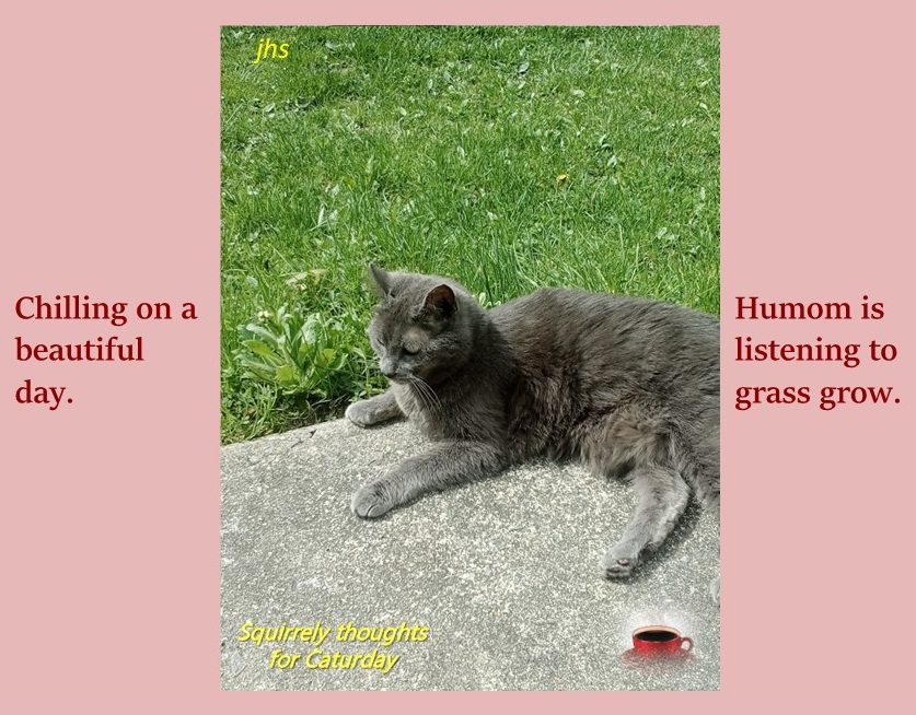 ☕️Good🦋morning☕️- S(C)aturday😻Rain...maybe. Still, have a good day and remember - smile! 🤩