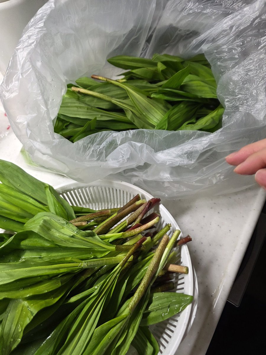 アップルッパイ tweet media