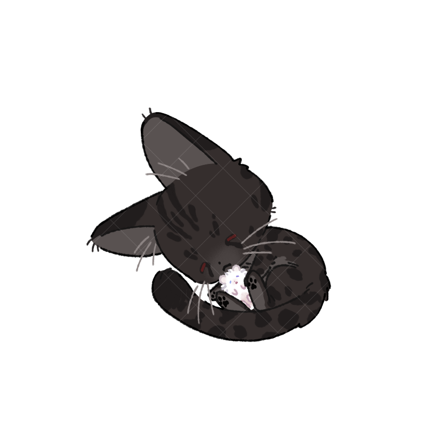 망미션 tweet media