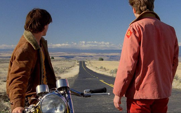 Stephen Gibbons tweet media