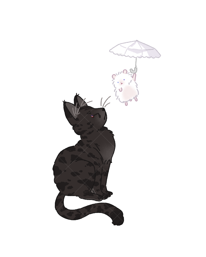 망미션 tweet media