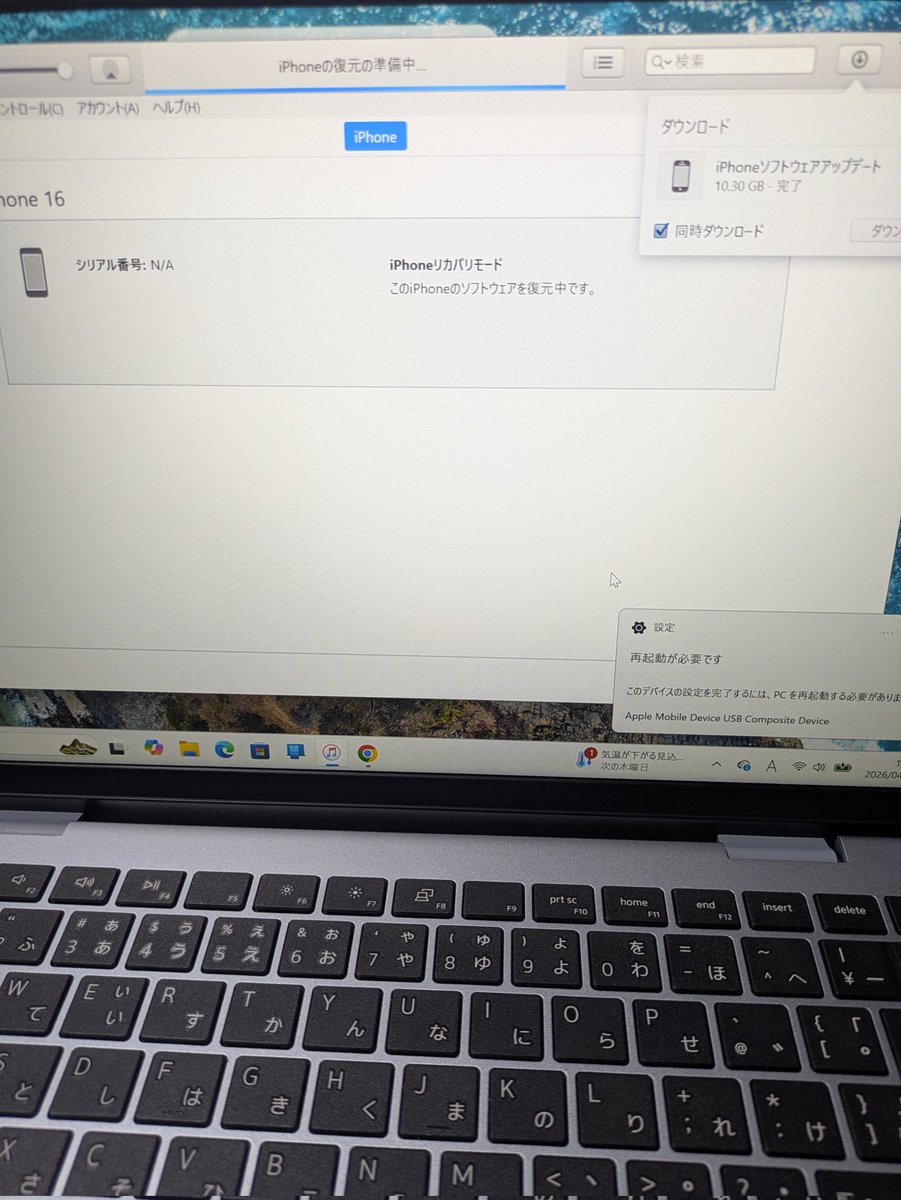 karin-co💚 tweet media