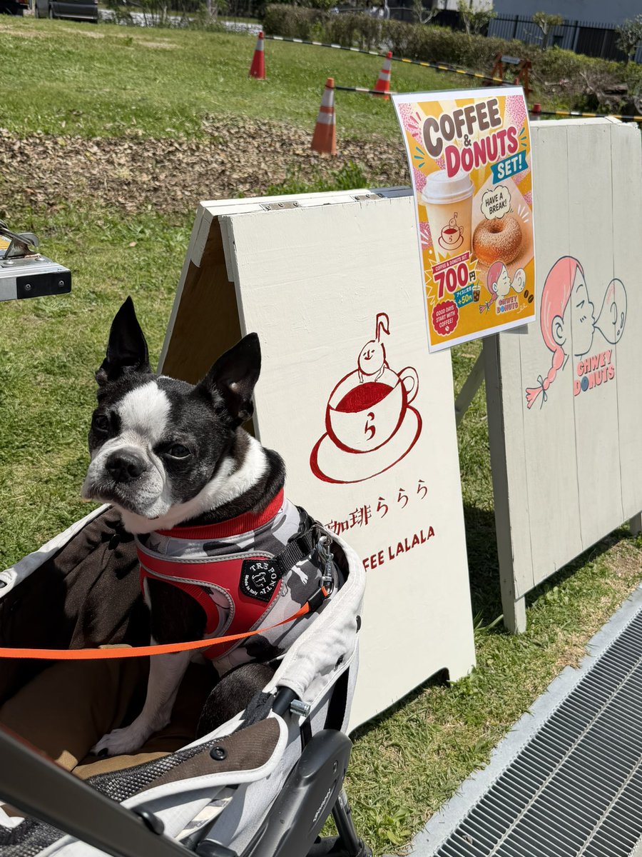 シトレ tweet media