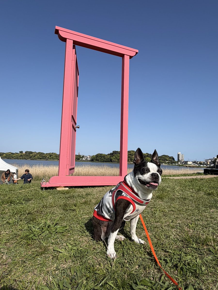 シトレ tweet media