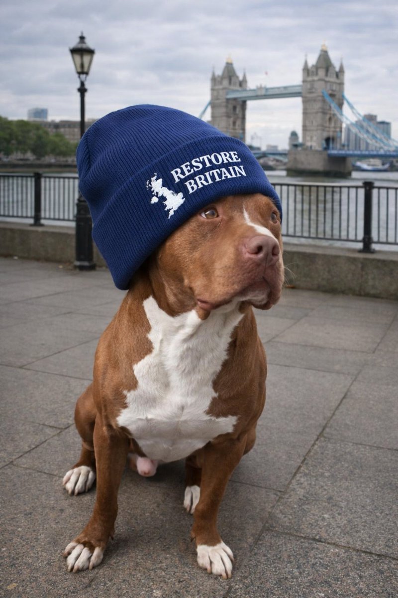 Dylan 🇬🇧 🇮🇪✝️ tweet media