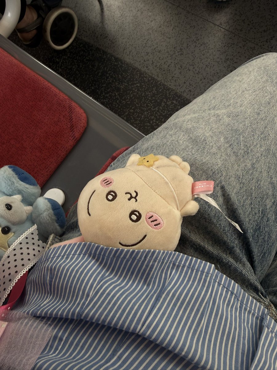 쫑스.. 🍀🍀🍀 tweet media