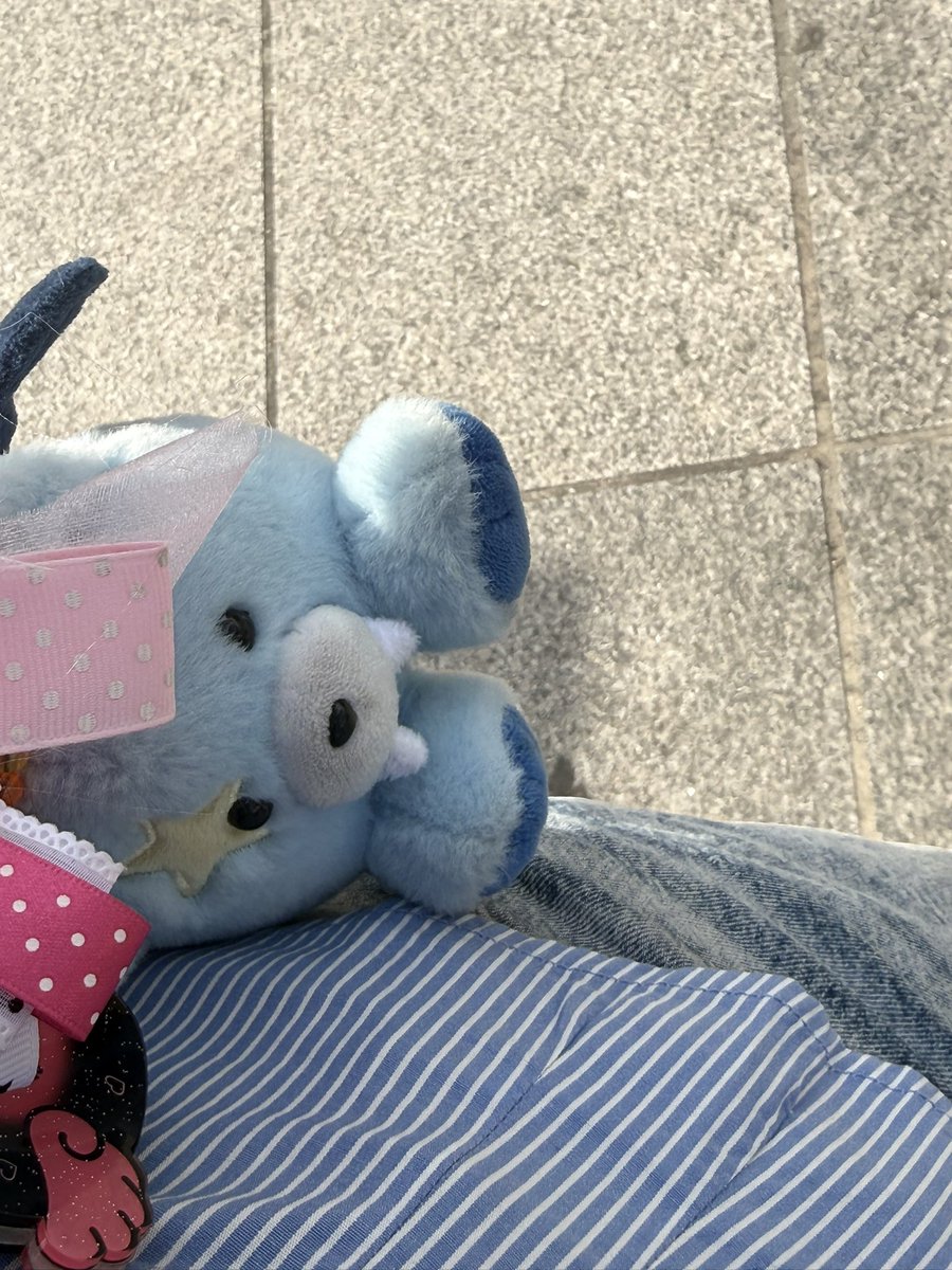 쫑스.. 🍀🍀🍀 tweet media