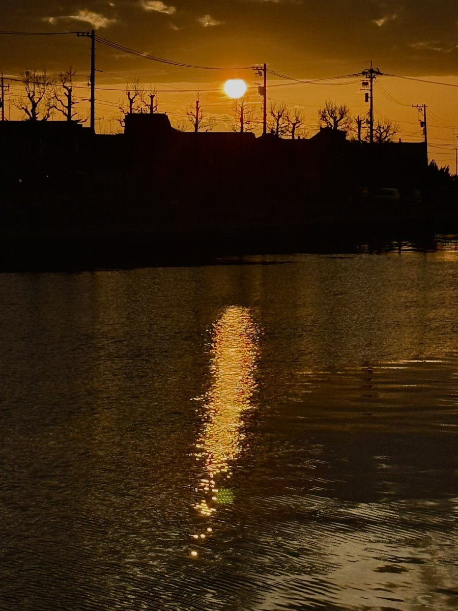 石川典行 tweet media