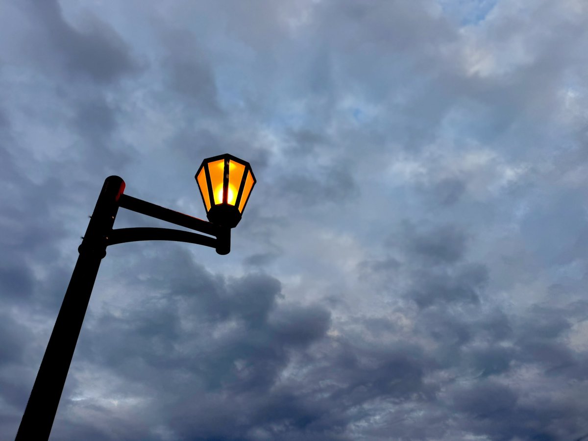 石川典行 tweet media