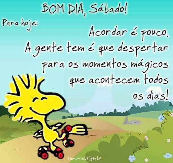 Sr. Fralda Cheia tweet media