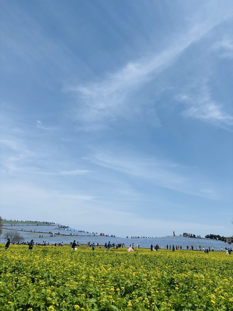 ひかる tweet media