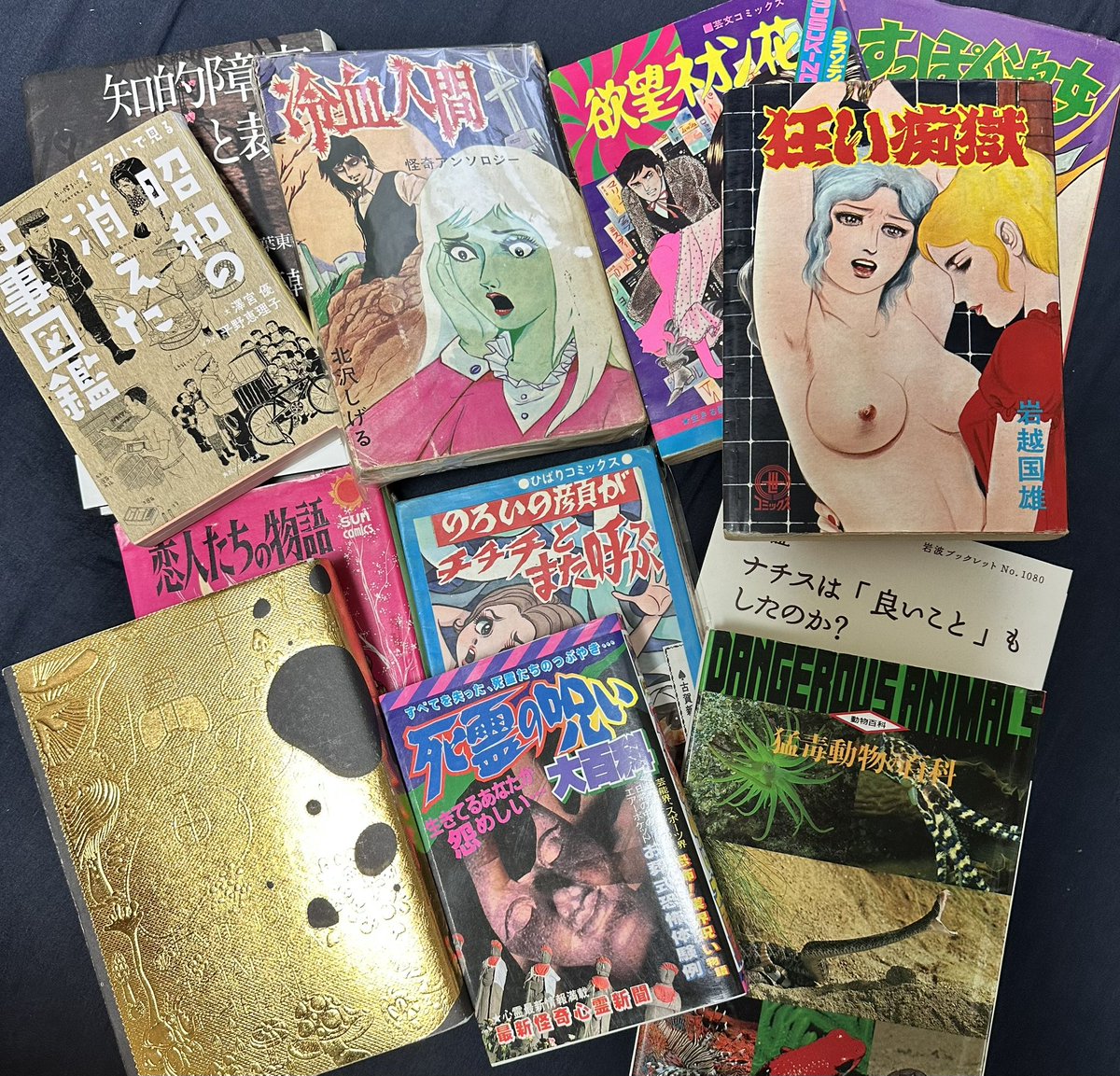 stuffyfrog's tweet photo. 神保町の古本フェス（初日）に行き、本を買い、個人的に神保町界隈で一番好きなばんびのカレーを食べた https://t.co/boeLORwZCN