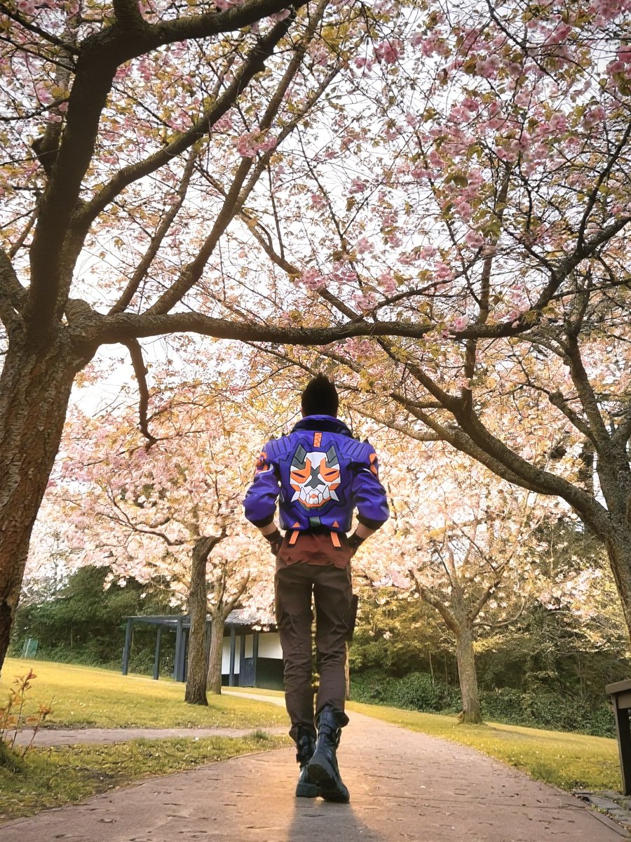 铭酱Sakura tweet media